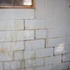 A cracked foundation wall near a window in a Schofield home