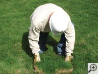 Restoring the landscaping by replacing removed sod on the ground for a De Pere home.